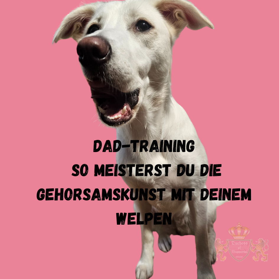 Lerne, wie du durch gezieltes Welpen Gehorsamstraining und das DAD-Training die Erziehung deines Welpen perfektionierst. Das Welpen Gehorsamstraining ist ein entscheidender Bestandteil der Erziehung. Mit dem DAD-Training lernst du, deinen Welpen konsequent und liebevoll zu führen, um langfristigen Gehorsam sicherzustellen. Welpen Gehorsamstraining, Welpen Erziehung DAD, Welpen Training Gehorsam, Welpen Disziplin, Welpentraining Gehorsam, Hundewelpen Gehorsam lernen, Welpen Befehle Gehorsam, Welpen Kommandos, Welpe Gehorsam Festigen, Welpe Erziehungskunst, Welpen Disziplin lernen, Welpen Training richtig, Welpen Training DAD, Welpen Führung, Welpen richtig erziehen, Welpen Kommandos beibringen, Welpen konsequente Erziehung, Welpen Sozialisation und Gehorsam, Welpen Verhalten, Welpen Befehlstraining, Welpen Training Fortschritt, Welpen DAD-Training, Welpen Erziehungsmethoden, Hundewelpen Erziehungskunst, Welpen Sozialisation, Welpen Gehorsam verstärken, Welpen Regeln lernen, Hundewelpen Kommandos, Welpen Training Fortschritt, Welpen Disziplin Methoden, Welpen Gehorsamstraining zu Hause, Welpen Alltagsgehorsam, Welpen Erziehung DAD, Welpen Erziehung Tipps, Welpen Führungskompetenz, Welpen Verhalten festigen