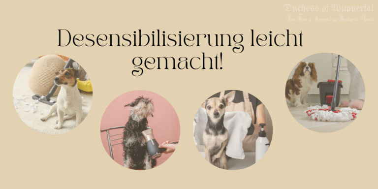 Widerstandsfähige Welpen – Desensibilisierung leicht gemacht! 🐾💪 Du willst, dass Dein Welpe mit den Geräuschen des Alltags cool umgeht, oder? Ob Staubsauger, Föhn oder das wilde Kinderlachen – Desensibilisierung ist der Schlüssel, um einen ausgeglichenen Vierbeiner großzuziehen, der auch bei plötzlichen Schreckmomenten ruhig bleibt. Was genau ist Desensibilisierung und wie startest Du damit? Keine Sorge, ich erkläre es Dir ganz einfach! Desensibilisierung bei Welpen, Geräuschtraining Welpen, Welpentraining, Haushaltsgeräte Hund, Hund an Geräusche gewöhnen, Föhntraining Hund, Staubsauger Hund, Welpen an Lärm gewöhnen, Geräuschkonditionierung, Welpe Sozialisation, Welpenaufzucht, Hundeerziehung, Hunde sozialisieren, Hundetraining zu Hause, Angst vor Geräuschen Hund, Welpenangst, Vertrauen aufbauen Welpe, Gehorsamstraining Welpen, Welpenfütterung, nervöse Welpen beruhigen, Desensibilisierung Training, schrittweise Desensibilisierung, Welpenerziehung Alltag, Geräusche und Welpen, Welpenzucht Tipps, Sound Desensibilisierung, Welpe Angst Staubsauger, Stressabbau Welpe, Alltagsgeräusche Hund, positive Verstärkung Hund, Belohnungssystem Hund, Welpenpflege, Training für Welpen, wie trainiert man Welpen, Welpe Haushalt, Welpengesundheit, Geräuschangst Hund, Angst vor lauten Geräuschen Hund, Fütterungstraining Welpe, Futtermotivation Hund, Vertrauen Hund aufbauen, Training gegen Geräuschangst.
