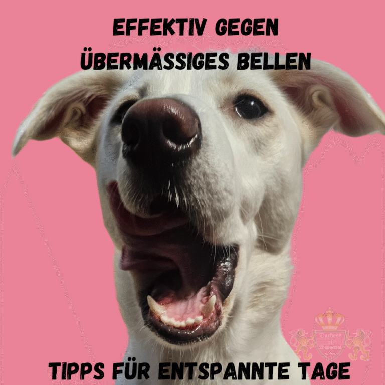 Erfahre, warum Welpen bellen und wie man es stoppt. Hol dir hilfreiche Tipps, um das Bellen deines Welpen effektiv zu reduzieren und ein ruhigeres Verhalten zu fördern. Welpen bellen aus vielen Gründen, und es ist wichtig zu verstehen, warum dein Welpe bellt, um das Verhalten effektiv zu stoppen. In diesem Artikel erfährst du, warum Welpen bellen und wie du es erfolgreich stoppen kannst. Unsere Tipps helfen dir, die Ursachen des Bellens zu erkennen und geeignete Maßnahmen zu ergreifen, um ein ruhigeres Verhalten zu fördern. Welpen bellen stoppen, Welpen Bellen Ursachen, Welpen Bellen verhindern, Welpen Erziehung, Bellen bei Welpen, Welpen Verhalten, Welpen Bellen Tipps, Bellen reduzieren, Hundeerziehung, Welpentrainings, Welpen Bellen stoppen, Ursachen für Welpen Bellen, Hundebellen kontrollieren, Welpen Bellen Tipps, Welpen Bellen Verhalten, Bellen beim Welpen stoppen, Hundetraining Welpen, Welpen Erziehungsstrategien, Welpen Kommunikation, Hundeschule Welpen, Bellen bei Welpen verstehen, Welpen Bellen verringern, Welpen Ruhigstellen, Hundetraining Bellen, Welpen Bellen kontrollieren, Welpen Bellen Ursachen erkennen, Bellen stoppen, Welpen Verhalten verbessern, Hund Bellen Tipps, Welpen Bellen Strategien, Hundebellen reduzieren, Welpen Erziehungstipps, Welpen Erziehungsprobleme, Welpen Verhalten trainieren, Welpen Bellen Behandlung, Welpen Bellen Ursachen verstehen, Welpen Erziehung erfolgreich, Hundetraining Tipps, Welpen Bellen analysieren, Welpen Bellen Lösungen, Welpen Ruhighalten