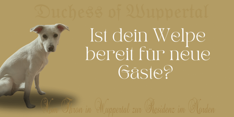 Umzug mit Haustieren, Tipps für Haustierbesitzer, stressfreier Umzug, Haustiere im Umzug, Kimba und Duchess, Umzugsvorbereitung, Hund und Katze umziehen, neue Wohnung für Haustiere, Kauspielzeug für Hunde, Katzen während des Umzugs, Hundeerziehung, Katzenverhalten, Umzugstricks für Haustierbesitzer, Umzug für Hunde und Katzen, ruhiger Umzug mit Tieren, Umzugskartons und Haustiere, Haustiere umziehen, Haustierfreundliche Umzüge, stressfreies Leben mit Haustieren, Haustierbetreuung beim Umzug, Leben mit Hunden und Katzen, neue Umgebung für Haustiere, Umzugstipps für Hundebesitzer, Tipps für Hundetraining, Umzugshelfer für Haustiere, Haustierpflege im Stress, entspannter Umzug mit Tieren, Umzugserfahrungen mit Tieren, Umzugsgeschichten, Umzug und Tierbetreuung, Haustiere sicher im Umzug, Stressreduktion für Haustiere beim Umzug, neue Heimat für Tiere, Kimba und Duchess beim Umzug. Duchess im Lieblinkspark, Schniewindscher Park, Hund und Krähen, entspannter Hundetag, Hundebegegnungen im Park, Duchess mit anderen Hunden, Krähen im Park, Hund und Natur, entspannte Zeit mit Hund, Hundeliebe im Park, Parkabenteuer mit Duchess, Lieblinkspark Elberfeld, Hund und Katze Freundschaft, Balisto der Kater, Ausflüge mit Hund, Hund im Freien, entspannter Parkbesuch, Hund und Vögel beobachten, Natur mit Hund, Hund und Krähen Abenteuer, freundlicher Hund, Duchess im Freien, entspannte Spaziergänge, Hund und Freundschaft, Hund und Katze Abenteuer, Leben mit Hund, Hund und Naturerlebnis, Erlebnisse im Lieblinkspark, Hundetraining im Park, entspannte Stunden im Park, Parkspaziergang mit Hund, Ausflüge mit Hund und Katze. Duchess auf den Rheinwiesen, Düsseldorf Rheinwiesen, Krähenjagd mit Hund, Hund jagt Krähen, Rheinwiesen Düsseldorf mit Hund, Hundesozialverhalten, Duchess und andere Hunde, Balisto und Duchess, Hund und Katze Freundschaft, Duchess und Balisto, Freundschaft zwischen Hund und Katze, Hund jagt Vögel, Krähen und Hunde, Ausflug mit Hund Düsseldorf, Hundewiesen Düsseldorf, Rheinwiesen für Hunde, Duchess und ihre Freunde, Krähenjagd auf den Wiesen, Balisto umgarnt Duchess, Katze und Hund verstehen sich, tierische Freundschaften, offene Hunde, Duchess Freundlich zu Hunden, Hund und Katzenbeziehung, Freundschaft zwischen Haustieren, Rheinwiesen Düsseldorf Krähen, Hundeausflug Düsseldorf, Hunde und Krähen, Duchess und Düsseldorf, Balisto schmiegt sich an Duchess, Tiere kuscheln, lustige Tierfreundschaften, Katze schmiegt sich an Hund, Alltag mit Duchess und Balisto, Rheinwiesen und Hunde, Hundeabenteuer Rheinwiesen, Duchess und ihre Abenteuer, Hund jagt Krähen Düsseldorf. Entspannte Woche, Umzugsruhe, Ruhe vor dem Umzug, Entspannte Hunde, Duchess und Kimba, Alltag mit Hunden, normales Leben mit Hunden, Kündigung Wohnung, Umzugsvorbereitung, Hunde entspannen, Hundealltag, Gassirunden, Hundetraining, normale Woche mit Hunden, Hundepause, Ruhephase mit Hunden, ruhiger Hundealltag, keine besonderen Vorkommnisse, Hunde und Ruhe, Entspannung für Hunde, Vorbereitungen für den Umzug, Ruhe für Duchess und Kimba, entspannte Zeit mit Hunden, Hunde und Alltag, ruhige Gassirunden, Alltag mit Duchess, Alltag mit Kimba, entspannte Hundezeit, keine besonderen Hundeevents, normale Woche mit Haustieren, hundefreundliche Wohnungskündigung, Entspannungspause für Hunde, Vorbereitungen auf den Umzug, Hundepause vor dem Umzug, keine Hunde-Eskapaden, normale Woche ohne Action, ruhige Hundetage, Wohnungskündigung und Umzug, Umzugsplanung mit Haustieren, Entspannung für Haustiere, Hundealltag vor dem Umzug, Umzug nach Norden, neues Zuhause für Duchess, Leben in Norden, Umzug mit Hunden, Wattenmeer, frische Luft Norden, Hunde und Wattenmeer, Hunderegister Niedersachsen, neues Leben für uns, Hausärztliche Versorgung Norden, Umzugstermin 22.10.2024, Urlaub vs. Leben in Urlaubsregion, Natur im Norden, Umzug mit Kimba, neues Revier für Duchess, Niedersachsen Hunderegister, Hundebesitzer in Norden, Hundetraining im Norden, Hundewanderungen Wattenmeer, frische Luft für Hunde, klimatisches Leben im Norden, Hundebesuch in Norden, zentralisiertes Hunderegister, Neubeginn in Urlaubsregion, Umzugserfahrungen mit Haustieren, Hundetraining in Urlaubsregion, Umzugserfahrung mit Duchess, familiäre Veränderungen durch Umzug, freundliches Klima für Hunde, Nordsee und Hunde, Leben in Niedersachsen, Umzug in die Natur, Revierwechsel für Hunde, Hundebetreuung nach Umzug, Umzug mit Haustieren, Hunderegister Deutschland, Haustiere und Umzug, Hundefreundliches Norden, neues Leben für Duchess, neue Umgebung für Kimba, Haustierfreundliches Niedersachsen, Abenteuer Umzug mit Hunden Duchess im Exil, Hund Umzug, Haustiere im neuen Zuhause, Wuppertal Hund, neues Zuhause mit Hund, Hundebesichtigung, neues Haus mit Hund, Hund in Norden, Duchess, Hund und Umzug, Kimba und Duchess, Hund und Katze zusammen, Haustier harmonisch zusammenleben, Hundebetreuung, Hundeblog, Umzug mit Hunden, Hund im Fokus, Hund und Stadtwechsel, Hundeliebe, Hundeerziehung, Hund sozialisieren, neue Umgebung für Hund, Hundestress vermeiden, Hundekumpels, Haustiere integrieren, Umzug mit Haustieren, Wuppertaler Hund, Hundebesitzer in Wuppertal, Hundetraining im neuen Zuhause, Hundesozialisierung, Hund im Mittelpunkt, Hundetraining und Umzug, Hundeverhalten bei Umzug, Hund im neuen Haus, Hund und Katzen im neuen Heim, Hundebetreuung Tipps, Hunde und Katzen zusammenführen, stressfreier Umzug mit Hund, stressfreier Umzug mit Haustieren, Wuppertal Umzug mit Hund, harmonisches Zusammenleben Haustiere, Hund und Wohnungssuche Abschied von Duchess, Besuch Norddeich, Kimba und Duchess, Hundebetreuung Wuppertal, Duchess im Zug, Rückfahrt mit Hund, Hundetipps Zugreise, Oldtimerausstellung Norddeich, Hundewelpe Erziehung, Duchess und Kimba, Hund Sozialisierung, Duchess Erfahrung Zug, Hund an Autos gewöhnen, Welpentraining Norddeich, Hundeverhalten Tipps, Welpenfreundschaft, Wiedersehen Hund und Katze, Welpe Zugfahrt, Kimba Reaktion, Duchess Hundebesuch, Verabschiedung Hund, Hundetraining Wuppertal, Kimba Duchess Begrüßung, Duchess Reaktion Abschied, Hundeverhalten Besuch, Hund in Norddeich, Oldtimerausstellung mit Hund, Besuchstage mit Hund, Hund an Reisen gewöhnen, Hund und Welpe Freundschaft, Duchess und Norddeich, Rückfahrt mit Welpe, Hundesozialisierung, Abschied Pipi Augen, Oldtimer Wuppertal, Hundebetreuung Norddeich, Duchess und Dennis, Hund und Verabschiedung, Besuchstage Hund, Hundereisen Planung, Hundeausflug Norddeich, Besuch und Verabschiedung Hund #ErsteTageDuchess #WärmeUndGeborgenDuchess der Hund Hundebesuch mit Duchess Duchess in Norddeich Urlaub mit Duchess Duchess am Hundestrand Duchess im Zug Zugreise mit Duchess Duchess und ihre Abenteuer Duchess und Familienzeit Duchess beim Hundetraining Duchess bei Oma Biggi Duchess und Kimba Duchess’ Urlaubserlebnisse Duchess im Urlaub Duchess am Strand Hundeurlaub mit Duchess Duchess’ Reise nach Norddeich Duchess und die Nordsee Duchess erkundet Norddeich Duchess und die Ferienwohnung Duchess am Hundestrand Norddeich Duchess beim Spielen Duchess’ Strandtage Duchess und die Zugfahrt Duchess und die Natur Duchess im Familienurlaub Duchess auf Reisen Duchess und Dennis Duchess’ Lieblingsorte in Norddeich Duchess und ihre neuen Freunde heit #DuchessSanfterStart #WelpenLiebe #KuscheligeTage #DuchessErfahrungen #GeborgenheitFürWelpen #SanfteEingewöhnung #DuchessZuhause #WelpenWohlfühlen #KleineDuchess #NeuesWelpenleben #DuchessErsteMomente #WarmeBegrüßung #DuchessLebensstart #WelpenGeborgenheit #BehaglicheMomente #DuchessUndFamilie #WelpenWärme #DuchessSanfteMomente #KuscheligeWelpen #WelpenEingewöhnung #DuchessKuschelzeit #WarmesZuhause #WelpenWohlfühlstart #DuchessLiebe #DuchessErsteTage Bootsausflug mit Hund, Hundebootsausflug, Park Stadsblokken, Hund und Boot, Hundeausflug Niederlande, Urlaub mit Hund, Hundeabenteuer, Hundespaß im Park, Hunde und Boot, Bootsfahrt mit Hund, Kimba und Duchess, Hundetag im Park, entspannt mit Hund reisen, Hundesozialisierung, Hundeausflug planen, Hundebegleiter auf Reisen, stressfreie Bootsfahrt mit Hund, Bootstour mit Hund, Hunde spielen im Park, Tipps für Hundeausflüge, Hundetrainingsmethoden, Hund und Wasser, hundefreundliche Parks, Bootstour mit Welpen, Welpenerziehung unterwegs, Tipps für Ausflüge mit Welpen, Hundetipps für Anfänger, Hund auf Reisen, Hund im Urlaub, Hund und Natur, Reisen mit Hund, Hund und Umwelt, Welpe auf Entdeckungstour, stressfreie Zugfahrten mit Hund, Hund und Zugfahrt, Reisetipps für Hundehalter, Hund im Zug, Welpe auf Boot, Training für Hundeausflüge, Hundeblog, Hund auf Bootstrip Wohnungsbesichtigung in Norden, neues Zuhause mit Hunden, Norder Tief, Naturschutzgebiet Langhäuser Tief, Traumwohnung für Hundebesitzer, Haustiere und neues Zuhause, mündliche Zusage Wohnung, Umzug mit Hunden, ideales Zuhause für Hunde, perfekte Wohnung für Haustiere, Wohnung mit großem Garten, ruhige Wohnung mit Haustieren, Hundespaziergang Norder Tief, Wohnungssuche mit Hunden, Haustierfreundliche Wohnung Norden, ideale Wohnung für Hundeliebhaber, Familienwohnung mit Haustieren, hundefreundliches Zuhause, mündliche Zusage Wohnungsbesichtigung, Leben mit Hunden, Wohnung für Katzen und Hunde, Naturspaziergang mit Hund, lange Zugfahrt mit Hunden, Gruppenkuscheln auf der Couch, Erkundungstour mit Hunden, neues Zuhause in Norden, Familie mit Haustieren, neue Wohnung mit Haustieren, Hundeerziehung im neuen Zuhause, perfekte Wohnung für Duchess und Kimba, Haustierglück im neuen Zuhause, tierfreundliches Wohnen in Norden, Norder Tief und Haustiere, Zugreise mit Haustieren, lange Zugfahrt mit Hunden, hundefreundliches Zuhause in Norden, Katzenfreundliche Wohnung, Traumwohnung für Hund und Katze, neues Heim für Familie und Tiere, harmonisches Zusammenleben mit Haustieren, lange Zugreise mit Hund, naturnahes Leben mit Haustieren, Haustiere im neuen Zuhause, ruhiges Leben mit Haustieren, glückliches Wohnen mit Hund und Katze Duchess Abenteuer, Duchess Hund, Duchess bei Roberto, Welpe und Zerstörung, Hund allein zu Hause, Tierhalterhaftpflicht Welpe, Welpenchaos, Hundeerziehung, Kimba und Duchess, Roberto und die Hunde, Langeweile beim Hund, Hundetraining, Duchess und Kimba Abenteuer, Wiedersehensfreude Hund, Duchess Berlin, Hund Berlin, Berlin CSD Hund, Welpenbetreuung, Welpen Langeweile, Hund Türe anknabbern, Hund Wolldecke zerstören, Hund Linoleumboden kaputt, Tierhaftpflichtversicherung, Duchess Geschichte, Duchess und Nachbar, Nachbar passt auf Hunde auf, Hund Pipi vor Freude, Hund zerstört Linoleum, Welpe zerstört Zuhause, Hund allein zuhause, Hund Langeweile verhindern, Haustür Hund anknabbern, Roberto Haustür, Welpe und Haustierhaftpflicht, Kimba Abenteuer, Duchess Welpenabenteuer, Hund beim Nachbarn, Hundebetreuung, Duchess CSD, Duchess in Berlin, Duchess bei Nachbar, Roberto und Kimba, Chaos mit Welpe