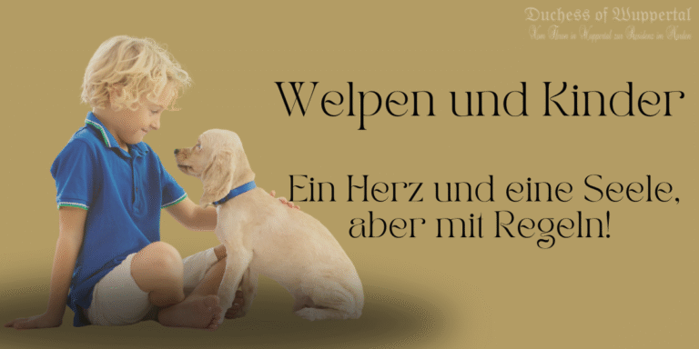 Welpen und Kinder, Welpe trainieren, Welpenpflege, Welpenerziehung, Welpenfreundschaft, Hund und Kinder, Kinder und Haustiere, Welpentraining, Kinder und Hund, harmonische Beziehung Hund, Welpe und Familie, Hundekind, Welpengewohnheiten, Kind Welpen, Hundetraining, Welpe Sozialisierung, Welpenschule, Training mit Kindern, Hundeerziehung, Welpen und Kleinkinder, Welpenspiel, Welpenrassen, Familienhund, Hunderassen für Kinder, Welpen knabbern, Welpe beißt, Hundeverhalten, Welpen Regeln, Hundekuscheln, Kinder erziehen Hund, Welpe versteht Kommandos, Welpenjagd, Welpenzuneigung, Welpenschlaf, Welpenumgang, Welpe füttern, Welpen trainieren leicht gemacht, Welpe Hausregeln, Welpen Verhalten, Welpenpflege Tipps, Welpenzuneigung, Welpeninteraktion, Welpenvertrauen aufbauen.