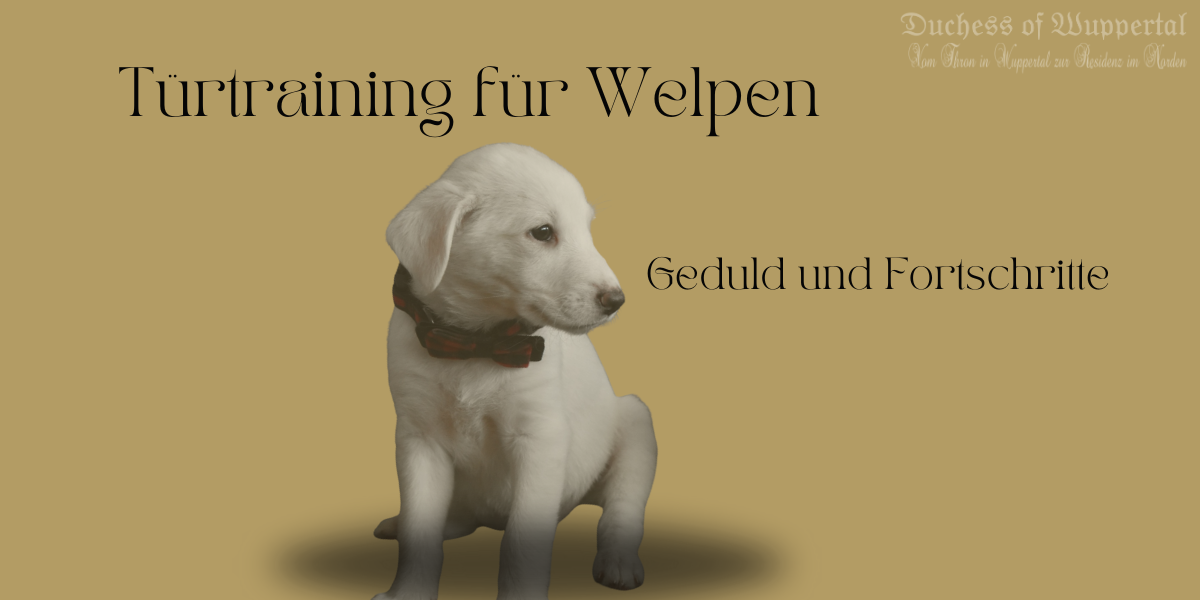 Türtraining Welpen, Welpen Impulskontrolle, Hund an Türen trainieren, offene Tür Hund, Welpenerziehung Türen, Hund ruhig an Türen, Welpen Gehorsam, Impulskontrolle Hund, Hundetraining Türen, Welpentraining zuhause, Türtraining für Hunde, Hund impulsiv, Hund Geduld üben, Welpe an Tür halten, Hund Sicherheit Türen, Leinenführung Türen, Welpen ruhig an Türen, Gehorsam Hund, Training Türen Hund, Leinenkontrolle Hund, Hund Grenzen lernen, Hunde Körpersprache, Welpen Grenzen setzen, Welpentraining Übungen, Hund Impulskontrolle verbessern, Hund Leckerli Türtraining, Türen Training für Welpen, Welpen ruhig halten, Hund draußen ruhig, Türen Training für Hunde, Hund Türen kontrollieren, Gehorsam Welpen, Hund zu Hause trainieren, Welpe lernt Impulskontrolle, Hund ruhig bei offenen Türen, Hundeerziehung Türtraining, Welpe Türen beherrschen, Training Haustür Hund, Welpe an Haustür gewöhnen, Hund lernt Impulse zu kontrollieren