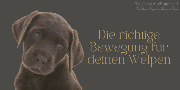 Hey du! Hast du auch einen kleinen Wirbelwind zu Hause, der voller Energie steckt? Das ist großartig! Regelmäßige Bewegung ist super wichtig für unseren pelzigen Freund, um fit und gesund zu bleiben. Aber wie viel Bewegung ist wirklich nötig? Und wann solltest du mit dem Training anfangen? Lass uns gemeinsam in die spannende Welt der Welpenbewegung eintauchen! Welpenbewegung, Welpentraining, Hund Bewegung, Welpen Spaziergänge, gesunde Welpen, Welpen Fitness, Hundesport für Welpen, Welpen Erziehung, Bewegung für Hunde, Welpen Aktivitäten, frühes Welpentraining, Hundeerziehung, Welpenbesitzer Tipps, gesundes Wachstum von Welpen, Hundegesundheit, spielerisches Training, Hundepausen, Welpen und Hitze, Hundeverhalten, Welpen Spielen, Welpen Spiele, Welpen Ruhezeiten, Hundepflege, Hundepausen, Bewegung für junge Hunde, gesunde Hunderasse, Hundeerziehung Tipps, Welpenaufzucht, Welpen und Familien, Hundebewegung Tipps, Welpenentwicklung, aktive Hunderassen, Hundeerziehung Tipps, Welpen und Spielzeug, Welpen körperliche Aktivität, Welpen Bewegung regulieren, Welpen Sicherheit, Hundetraining, verantwortungsvolle Hundehaltung, Welpen Auslastung, Hundebewegung steigern.