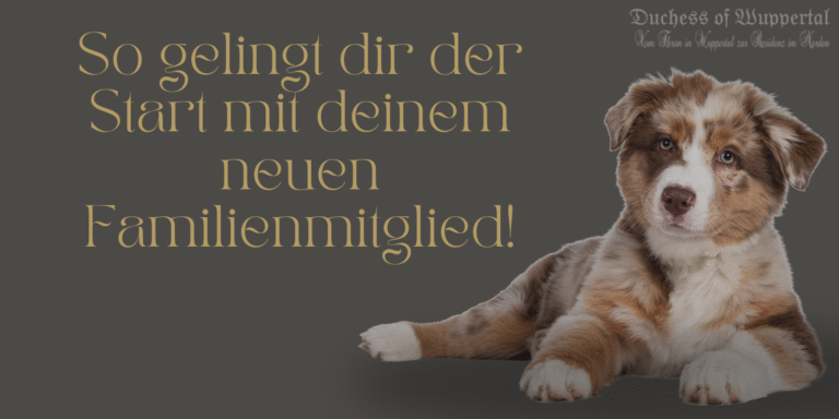 Einen kleinen Welpen bei sich aufzunehmen, ist so aufregend, oder? Dieses kleine Fellknäuel, das so neugierig die Welt entdeckt, bringt unglaublich viel Freude – aber auch die eine oder andere Herausforderung mit sich. Denn so süß sie sind, Welpen brauchen auch viel Aufmerksamkeit und Erziehung, um zu glücklichen, ausgeglichenen Hunden heranzuwachsen. Doch keine Sorge! Mit einem guten Plan und der richtigen Einstellung wirst du diese Zeit rocken. Hier findest du die besten Tipps, um die ersten Monate mit deinem Welpen zu einem Erfolg zu machen.Welpentraining, Welpenerziehung, Welpen sozialisieren, Welpen-Kommandos, Hundetraining für Anfänger, Welpen belohnen, Welpenschule, Erziehungstipps Hund, Welpen liebevoll erziehen, Gehorsamstraining Welpe, Hundewelpen richtig erziehen, Hund richtig trainieren, Hundetraining Tipps, Hundewelpen Sozialisation, Welpe lernt Sitz, Konsequenz Hundetraining, Welpen Training Plan, Welpen Entwicklungsphasen, Welpenverhalten, Hundewelpen beißen abgewöhnen, Welpen stubenrein machen, Welpen beißen verhindern, Wie erzieht man einen Welpen, Geduld Hundetraining, Welpentraining für Anfänger, Welpen positiv verstärken, Hundetraining Belohnung, Welpe lernt Kommandos, Hundeanfänger Training, Welpen lernen Grenzen, Welpen Leckerli Training, Welpenerziehung Ratgeber, Welpentraining Tipps, Welpen Sozialisierung Anleitung, Welpenkurse, Welpen Kommandos beibringen, Welpe lernt Gehorsam, Erziehung Hundewelpen