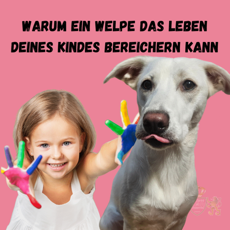 Welpen können das Leben von Kindern bereichern und ihnen wertvolle Lektionen beibringen. In diesem Artikel erfährst du, welche Vorteile Welpen für die Entwicklung deiner Kinder haben und warum die Beziehung zu einem Hund so wertvoll ist. Entdecke die Vorteile von Welpen für Kinder und warum die Beziehung zu einem Welpen die Entwicklung deines Kindes fördert. Vorteile von Welpen für Kinder, Welpen und Kinder, Kinderentwicklung mit Welpen, Kinder lernen von Hunden, Welpen für Familien, Kinder und Hund, Welpen fördern Kinder, positive Effekte von Welpen, Welpen und Kindergesundheit, Welpen und soziale Fähigkeiten, Kinder durch Welpen Verantwortung lernen, emotionaler Nutzen von Welpen, Welpen und Kinderpsychologie, warum Welpen gut für Kinder sind, Kinder und Welpenbeziehung, Welpen bringen Kindern Freude, Erziehung mit Hund, Kinder und Haustiere, Vorteile von Hunden für Kinder, Welpen fördern soziale Fähigkeiten, Kind und Welpe Freundschaft, Welpen im Familienleben, Hund und Kinder Entwicklung, positive Wirkung von Hunden auf Kinder, Welpen fördern Empathie, Hunde und Kindheitsentwicklung, Welpen als Familienmitglied, Welpen stärken Kinder, Welpen und emotionale Intelligenz, Welpen und kindliches Lernen, Welpen als Spielgefährten, Kinder und Welpen emotionaler Vorteil, Welpen und Kindererziehung, Welpen als Lebensbereicherung.