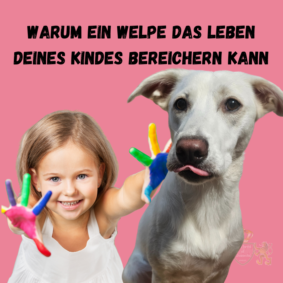 Welpen können das Leben von Kindern bereichern und ihnen wertvolle Lektionen beibringen. In diesem Artikel erfährst du, welche Vorteile Welpen für die Entwicklung deiner Kinder haben und warum die Beziehung zu einem Hund so wertvoll ist. Entdecke die Vorteile von Welpen für Kinder und warum die Beziehung zu einem Welpen die Entwicklung deines Kindes fördert. Vorteile von Welpen für Kinder, Welpen und Kinder, Kinderentwicklung mit Welpen, Kinder lernen von Hunden, Welpen für Familien, Kinder und Hund, Welpen fördern Kinder, positive Effekte von Welpen, Welpen und Kindergesundheit, Welpen und soziale Fähigkeiten, Kinder durch Welpen Verantwortung lernen, emotionaler Nutzen von Welpen, Welpen und Kinderpsychologie, warum Welpen gut für Kinder sind, Kinder und Welpenbeziehung, Welpen bringen Kindern Freude, Erziehung mit Hund, Kinder und Haustiere, Vorteile von Hunden für Kinder, Welpen fördern soziale Fähigkeiten, Kind und Welpe Freundschaft, Welpen im Familienleben, Hund und Kinder Entwicklung, positive Wirkung von Hunden auf Kinder, Welpen fördern Empathie, Hunde und Kindheitsentwicklung, Welpen als Familienmitglied, Welpen stärken Kinder, Welpen und emotionale Intelligenz, Welpen und kindliches Lernen, Welpen als Spielgefährten, Kinder und Welpen emotionaler Vorteil, Welpen und Kindererziehung, Welpen als Lebensbereicherung.